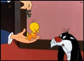Gif animé titi